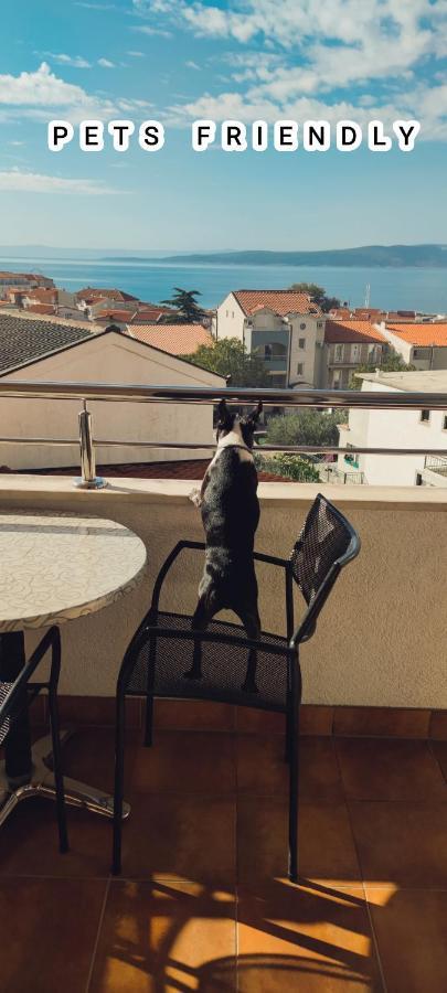 Apartments Vila Adrijana & Fitness Studio Wolf Baška Voda Eksteriør bilde